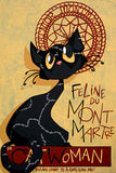 Black Cat